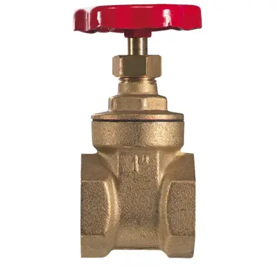 Засувка латуна IVR 605 Ду 20 Зображення