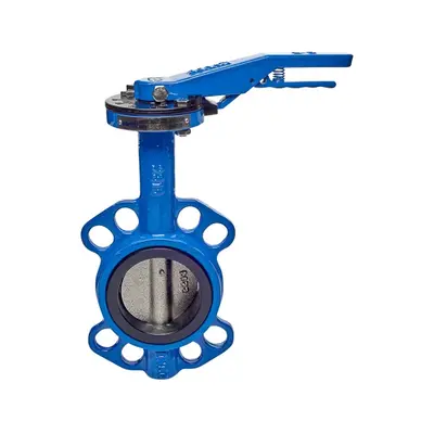 Затвор типу "Батерфляй" Ду 80 Зображення