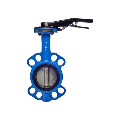 Затвори типу "Баттерфляй" з н/ж диском Ду 100 Зображення