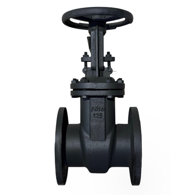 Засувка сталева 30с41нж Зображення