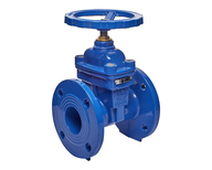 Задвижка c обрезиненным клином  BORATI DN 100 Изображение