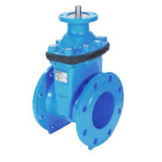 Засувка фланцева з обгумованим клином TECOFI тип VOC4241CM-00 Ду 40 Зображення