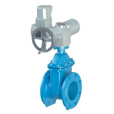 Засувка фланцева з обгумованим клином TECOFI тип VOC4241CM-U04 Ду 40 Зображення