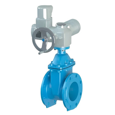 Засувка фланцева з обгумованим клином TECOFI тип VOC4241CM-U04 Ду 300 Зображення