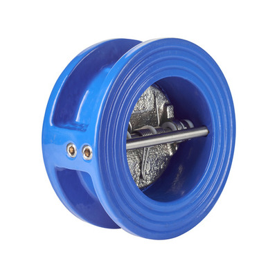 Клапан зворотній міжфланцевий ВТ-068 Ру 16 Ду 50 BORATI Зображення