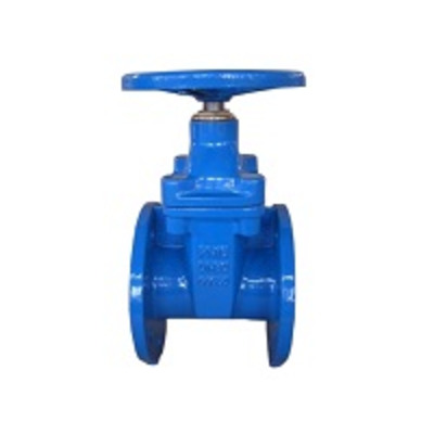 Засувка чавунна 30ч39р з обгумованим клином Ру 16 Ду 50 Зображення